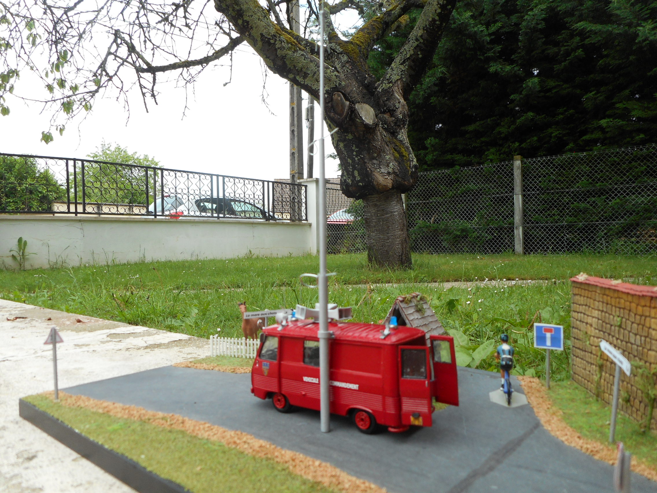 DSCN6323.JPG