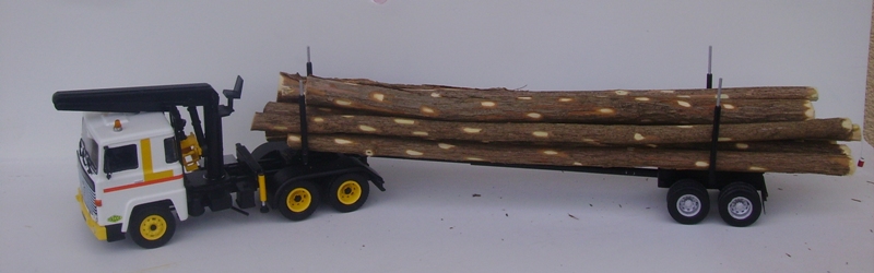 IMGP0169.JPG