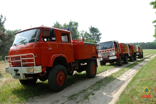 31868ccd4f.jpg