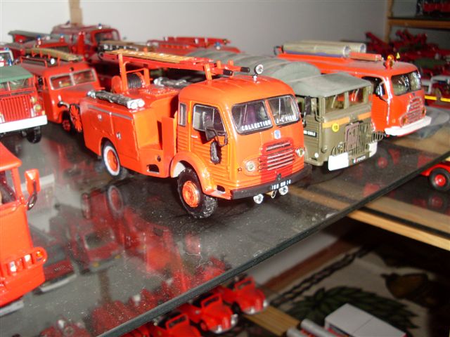 SL370546.JPG