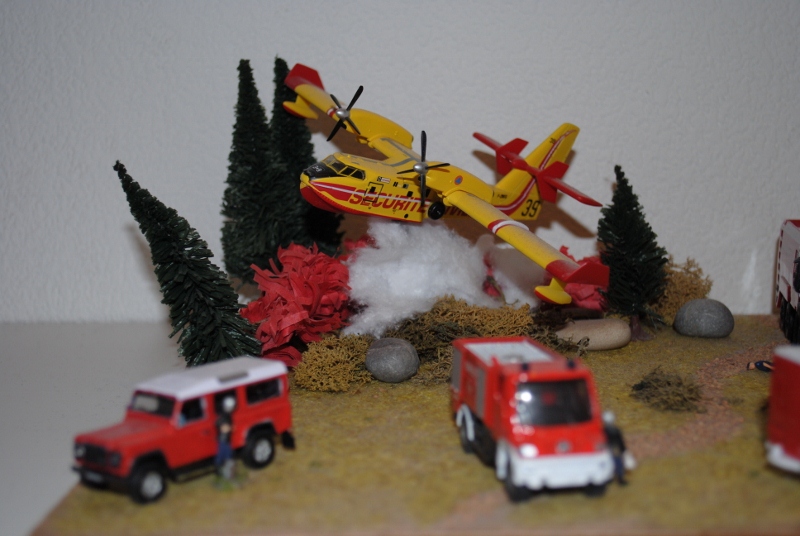 DSC_0037 (800x536).jpg