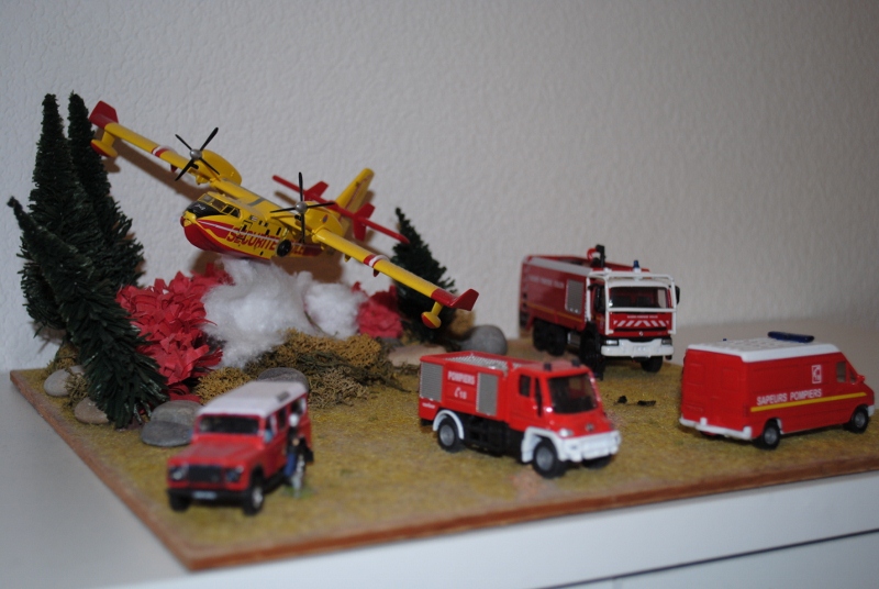 DSC_0039 (800x536).jpg