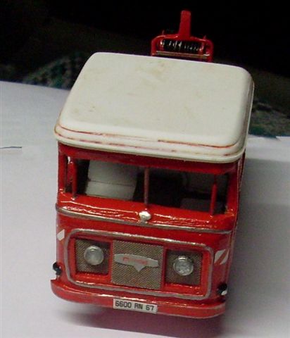 SL378224.JPG
