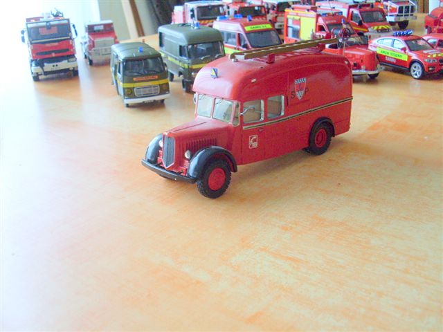 SL370755.JPG