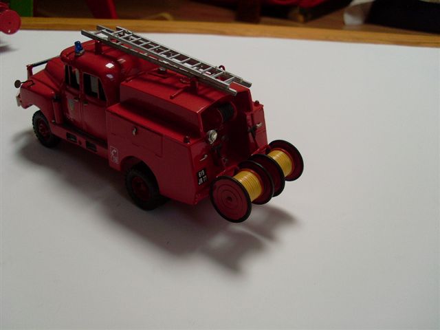 SL370748.JPG