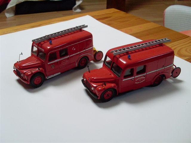 SL370751.JPG