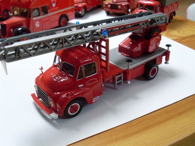 SL370774.JPG