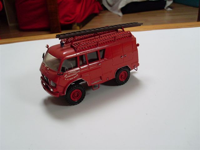 SL370781.JPG