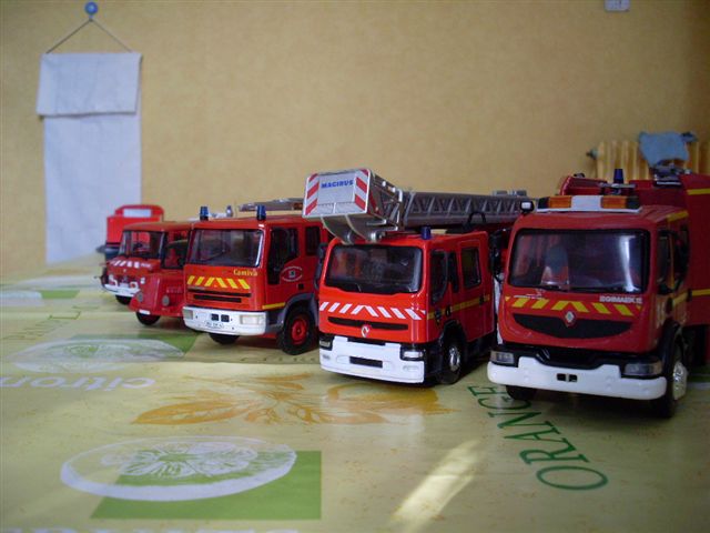 SL370791.JPG