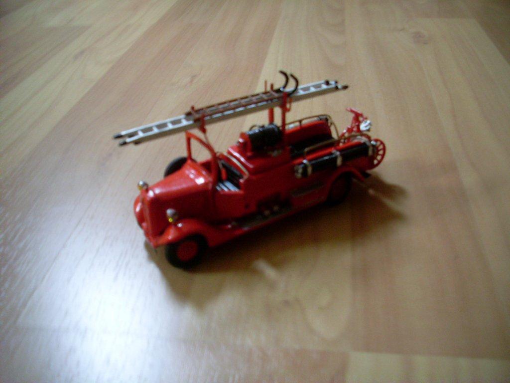 SL370887.JPG