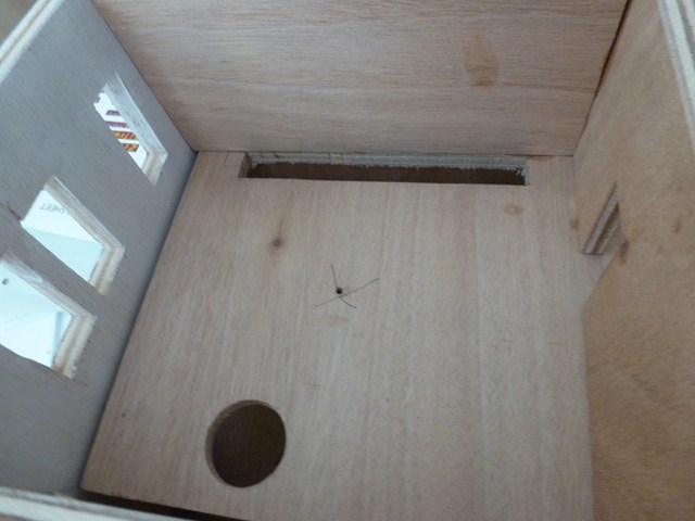P1010861 (Copier).JPG