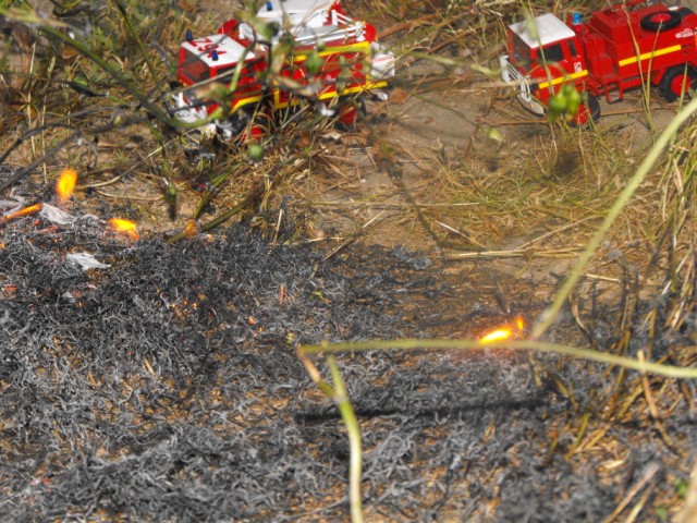 Z94 009 [640x480].jpg