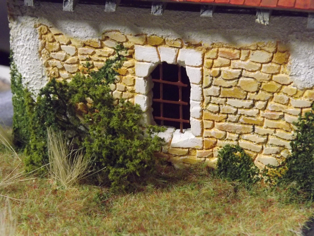 végétations 009.JPG