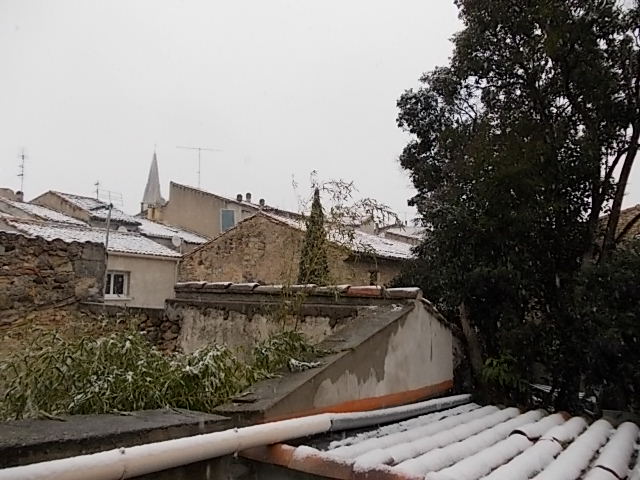 NEIGE 16 01 2013 c.JPG