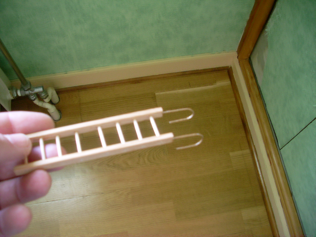SL370292.JPG