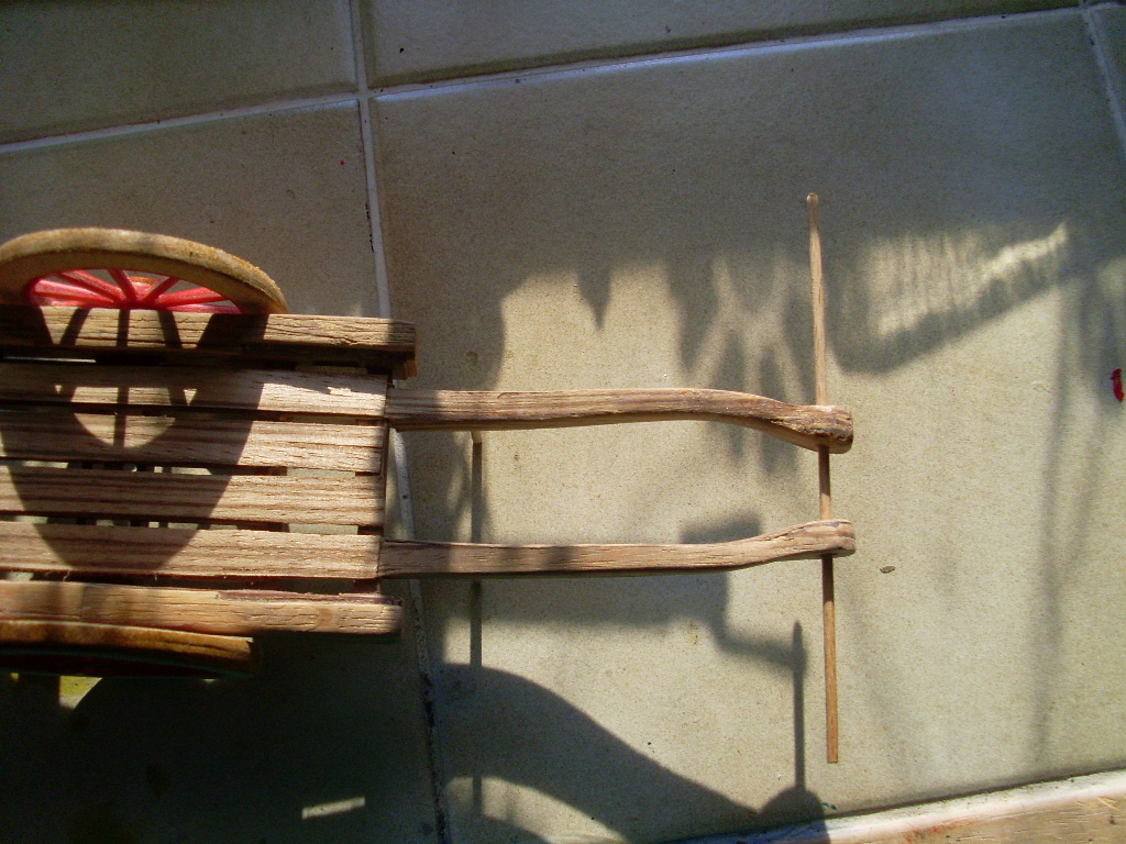 SL370456.JPG