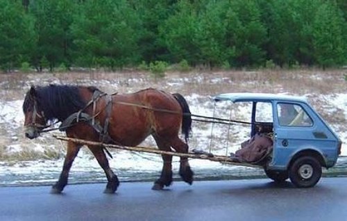 hippoto2-500.jpg