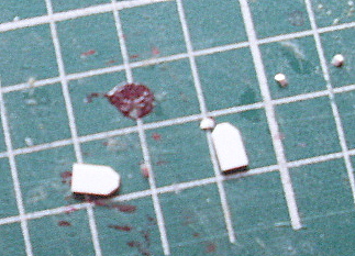 SL370683.JPG