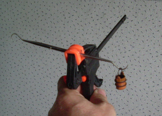 SL370706.JPG