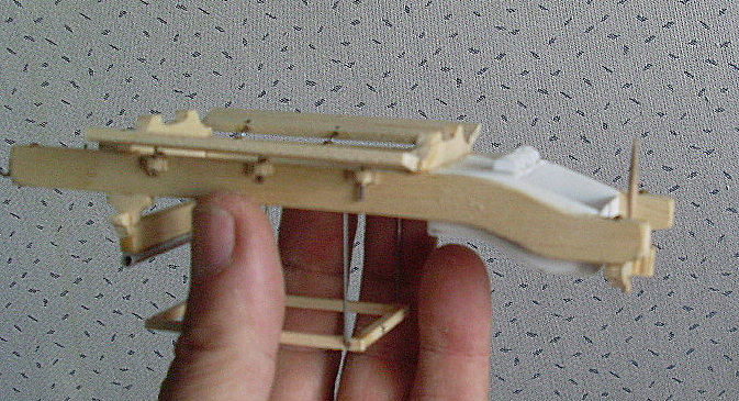 SL371160.JPG