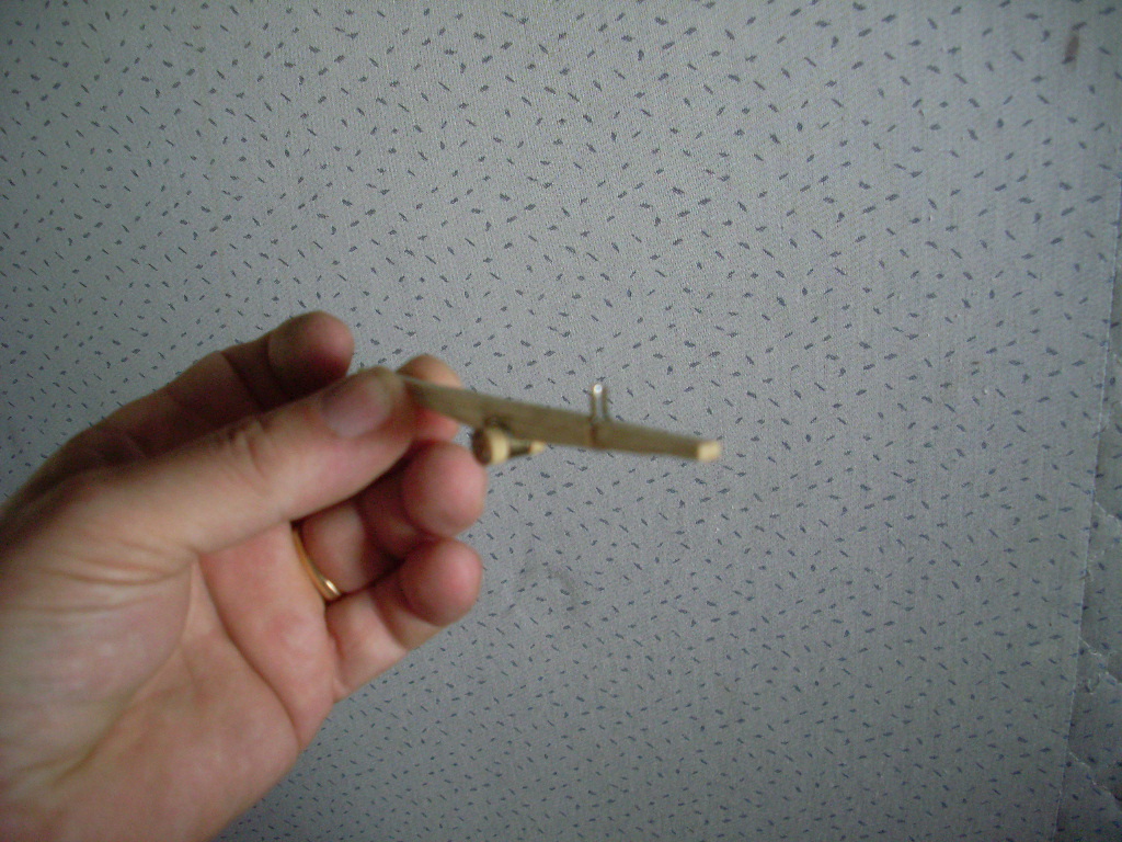 SL371240.JPG