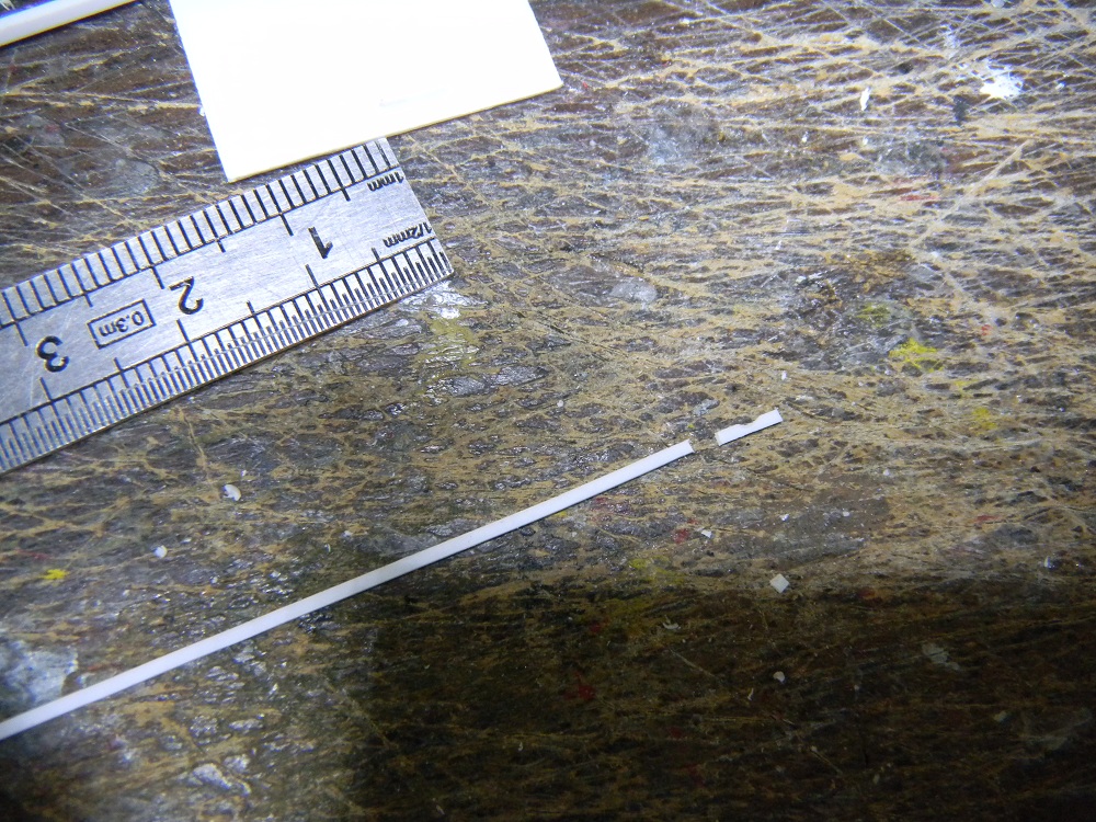 DSCN0791.JPG