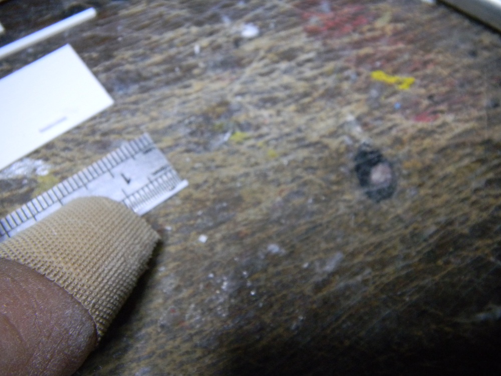 DSCN0789.JPG