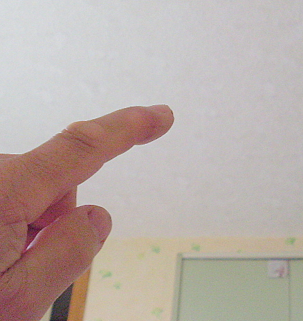 SL371385.JPG