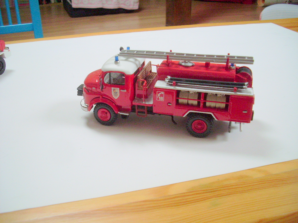 SL371460.JPG