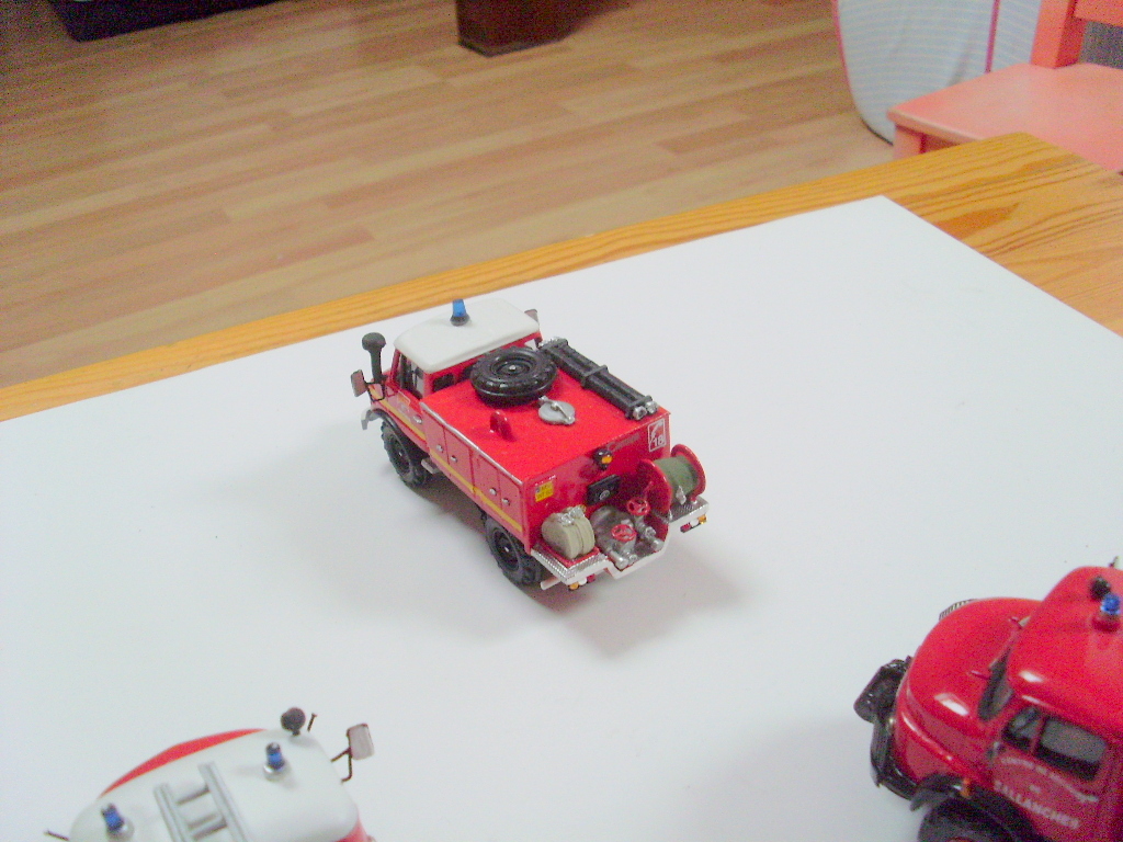 SL371465.JPG