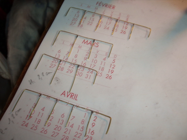 P1020116.JPG