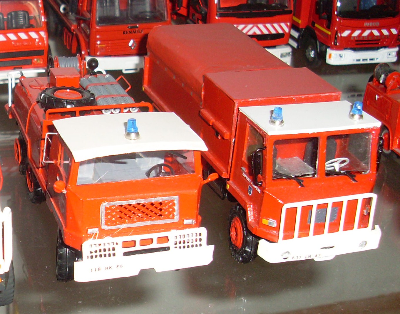 SL378783.JPG