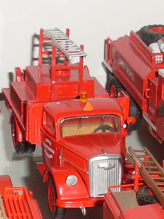 SL378512.JPG