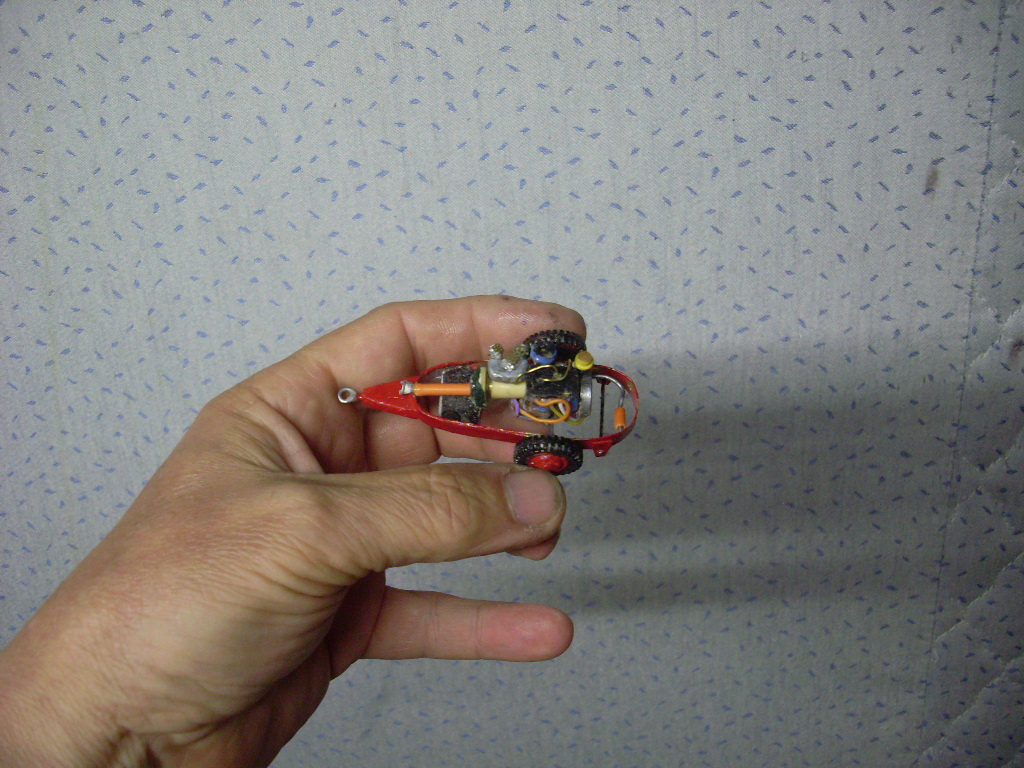SL371389.JPG
