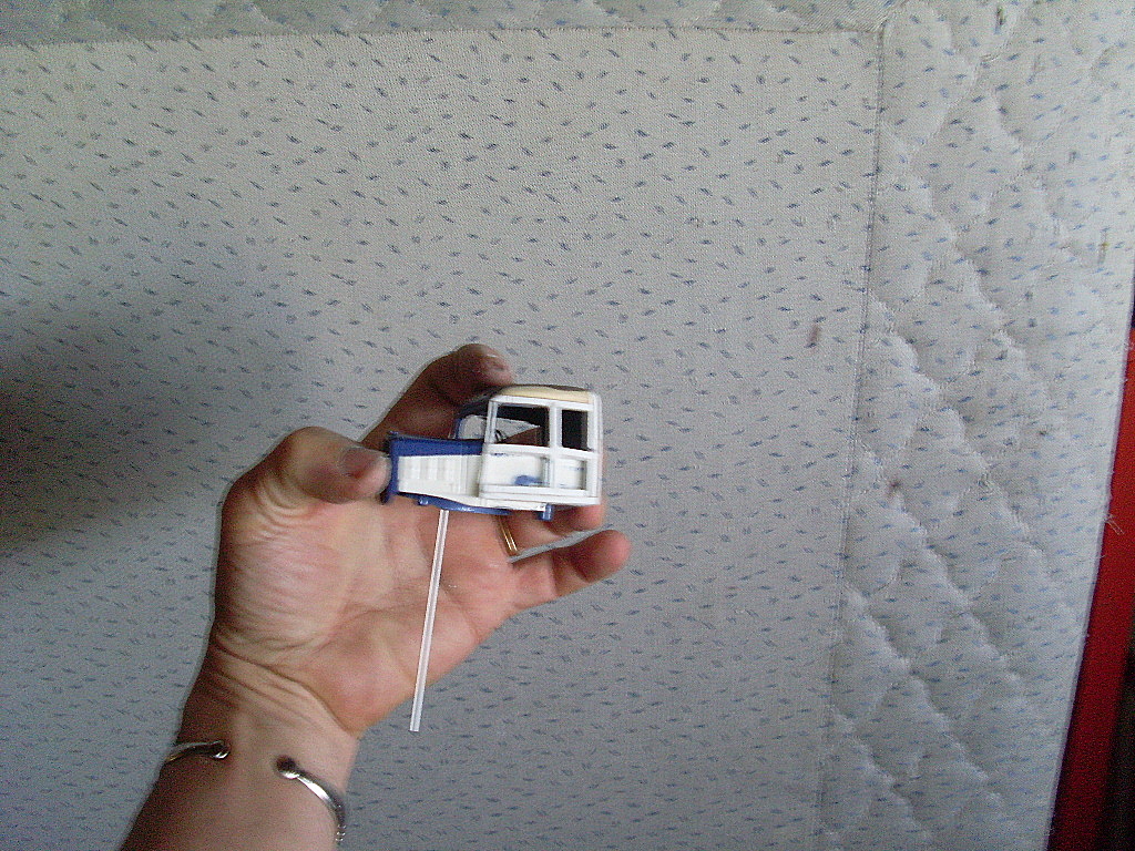 SL371421.JPG