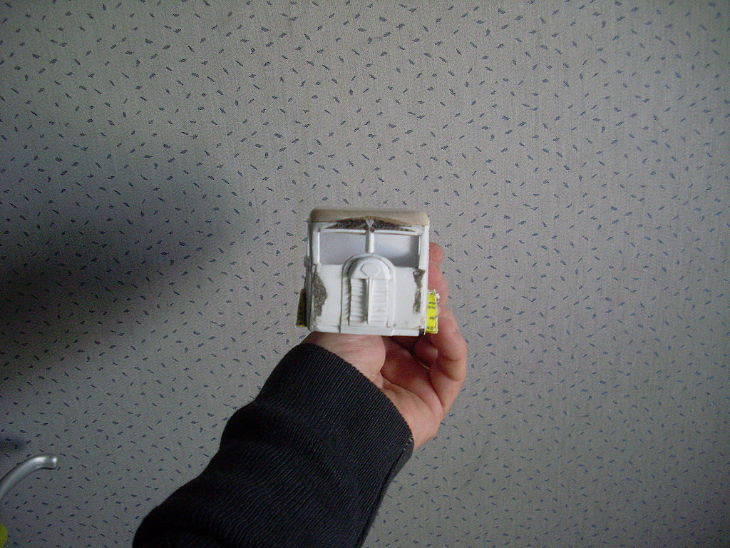 SL371606.JPG