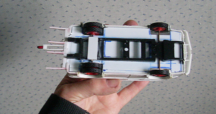 SL371677.JPG