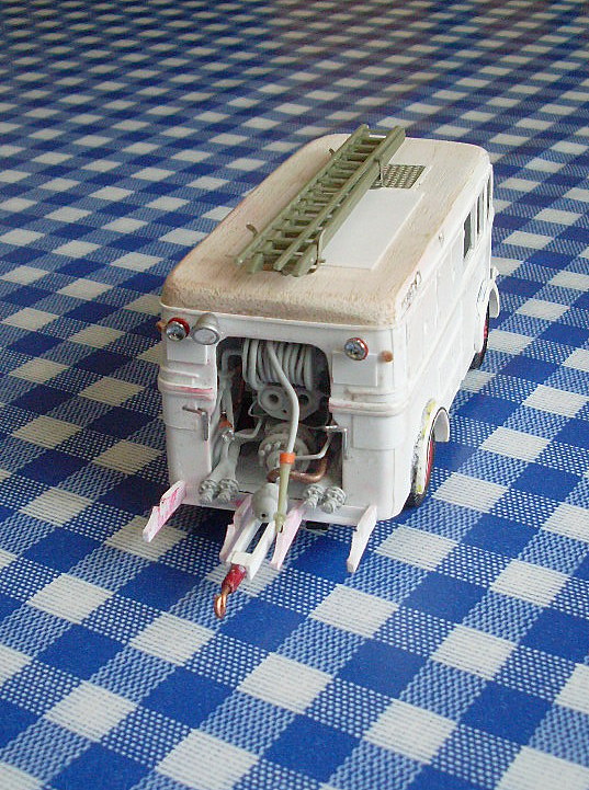 SL371703.JPG