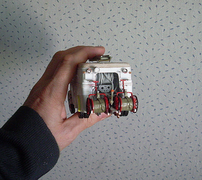 SL371711.JPG