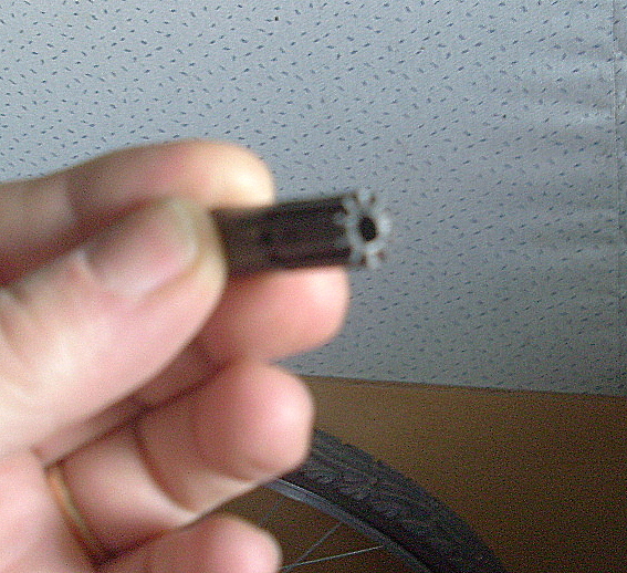 SL370066.JPG