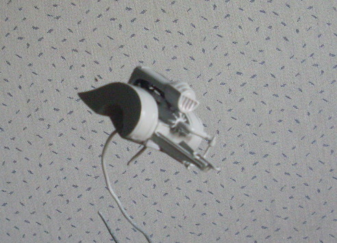 SL370079.JPG
