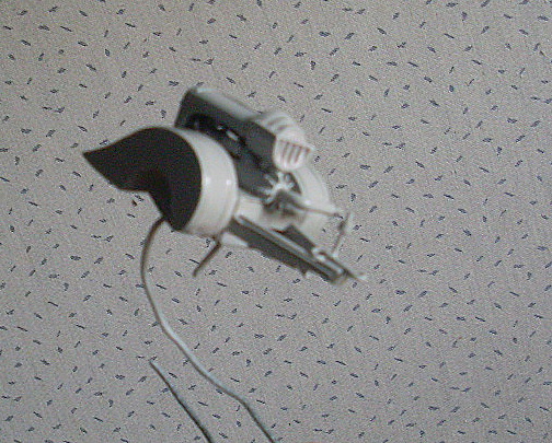 SL370078.JPG