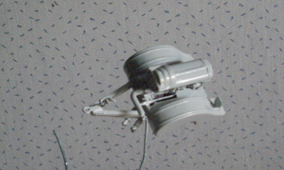 SL370077.JPG