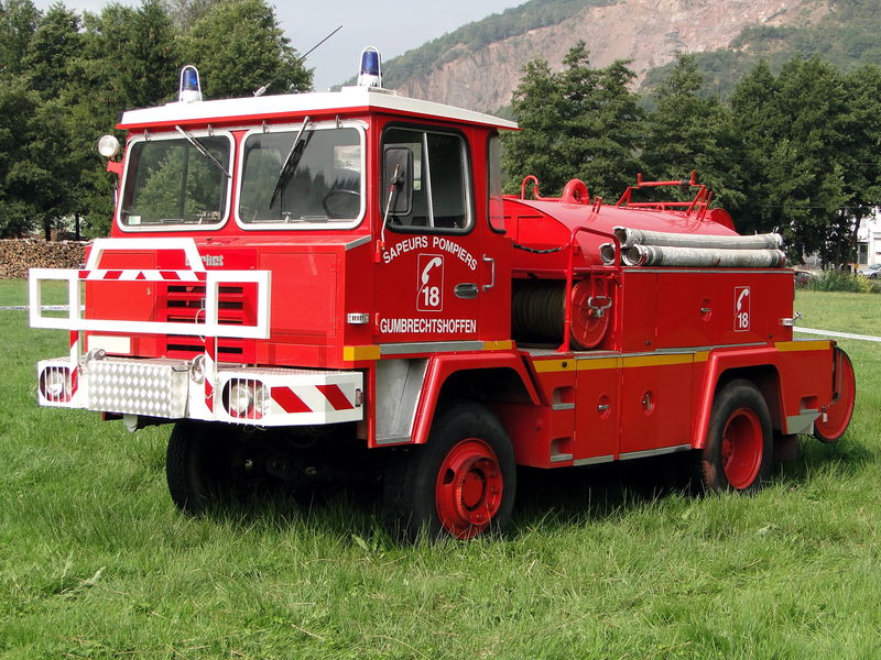 46466564.jpg
