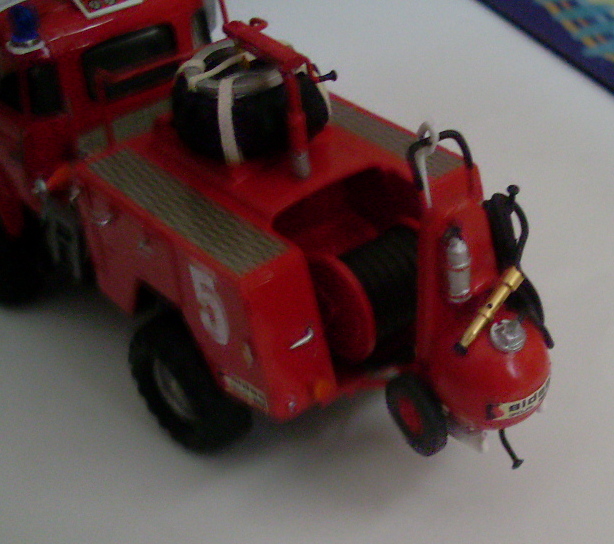 SL370341.JPG