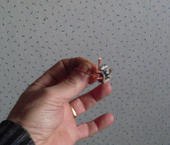 SL370404.JPG