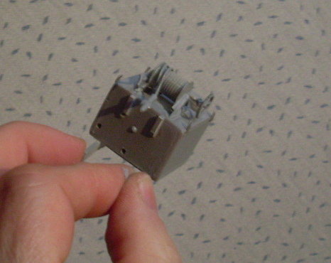 SL370458.JPG