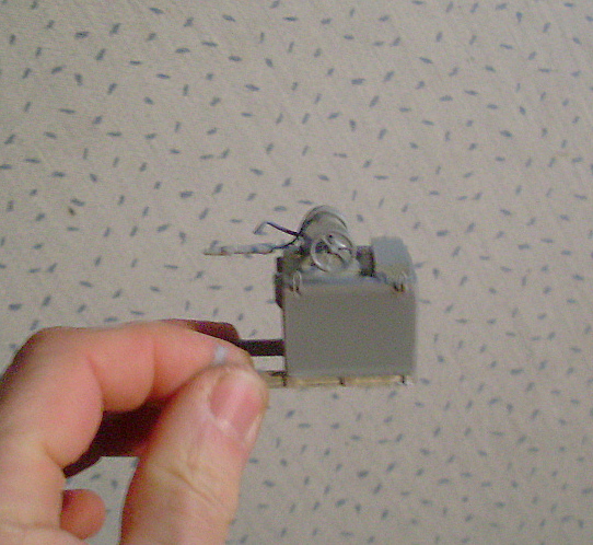 SL370456.JPG