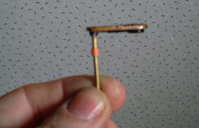 SL370487.JPG