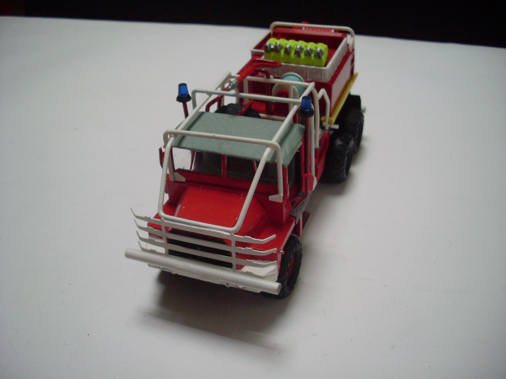 SL370735.JPG
